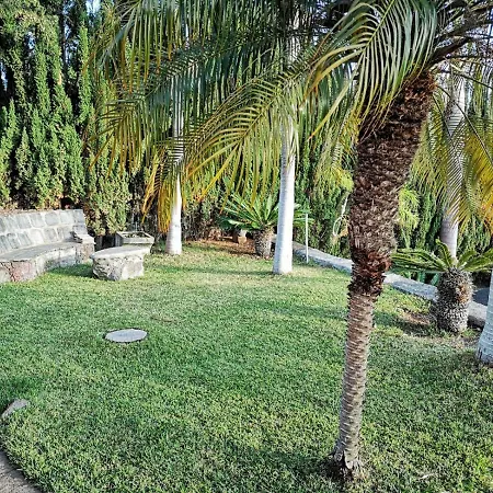 Casa Gorgonia Holiday home Tijarafe